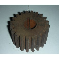 Junior Motor Pinion
